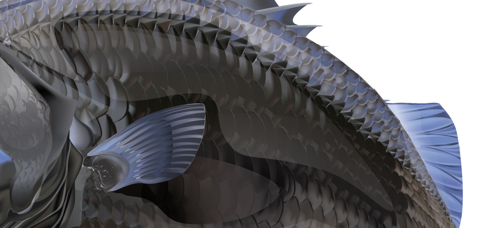 Digital Barramundi Fish Stickers - Image 4
