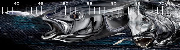 King Red - Fish Ruler Sticker - Image 2