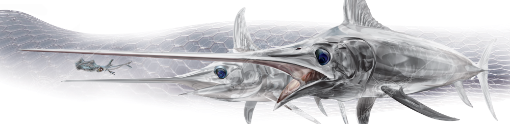 broadbill swordfish boat wrap design