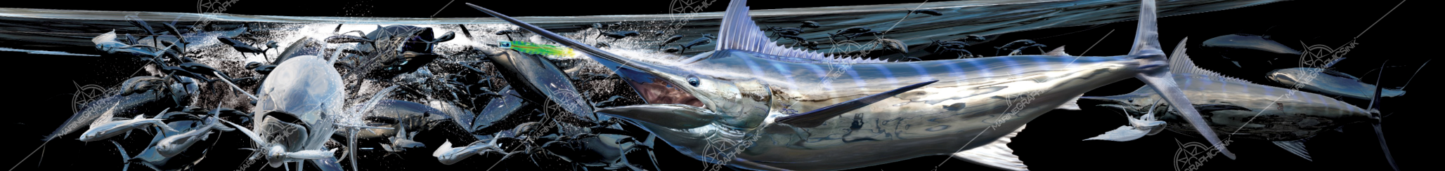 Offshore-Carnage-boat-wrap Offshore-Carnage-boat-wrap