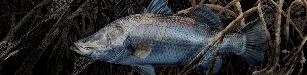 barramundi boat wrap